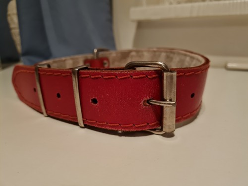 Damen ledergürtel rot breit - damen,